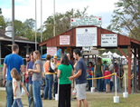 Georgia Apple Festival Georgia Apple Festival in Ellijay. One of the biggest festivals in the southeast!