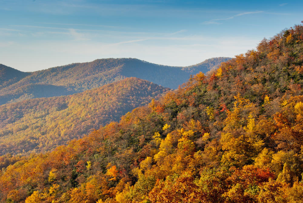 Georgia: Southern Hospitality Meets a Growing Car Scene