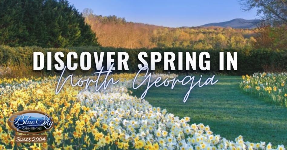 What Trees are Blooming Now in Georgia? Discover the Spring Spectacle.
