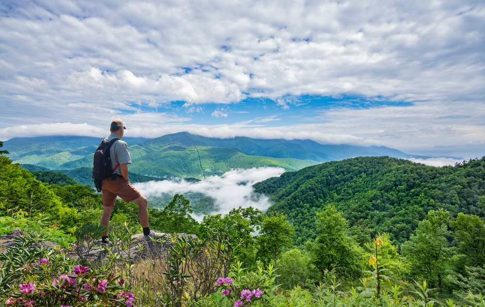 12th Annual Blue Ridge Blues and BBQ Festival