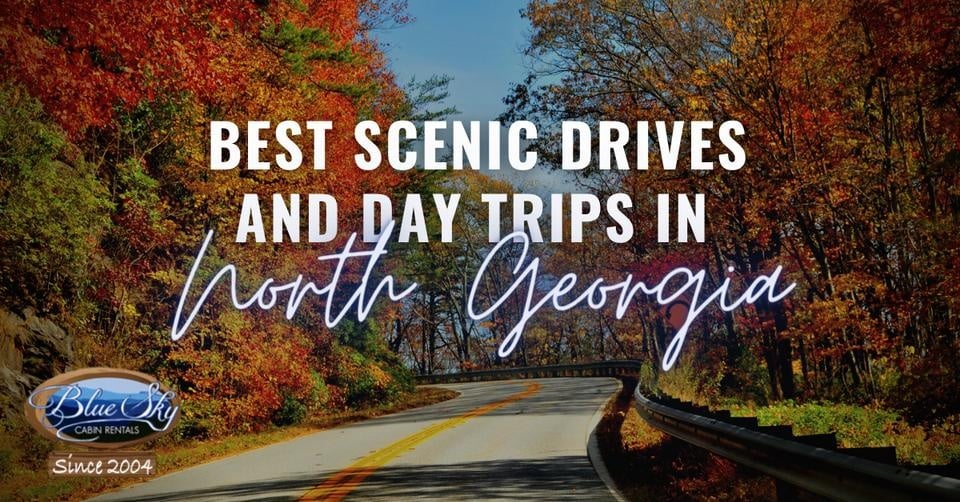 day trips from ellijay ga