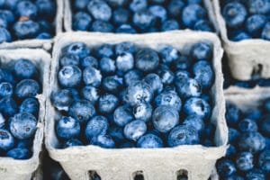 Fun Farms to Visit In North Georgia