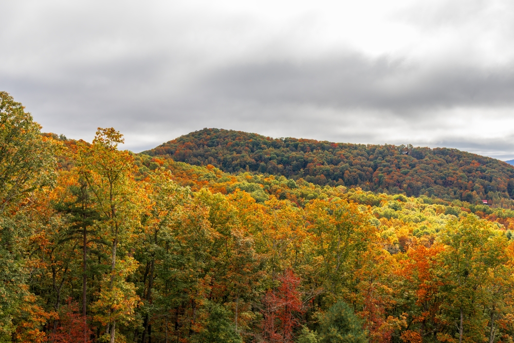 Fall foliage on the mountains of Blue Ridge, Georgia in October